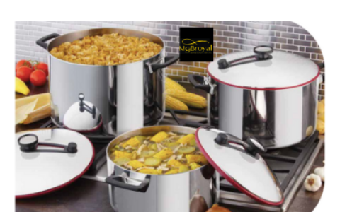 Royal Prestige Tamale Steamers